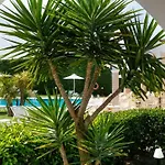Goudelis 4* Sidárion